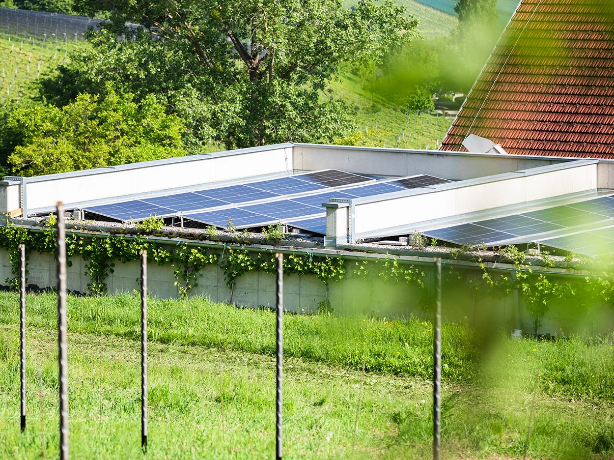 Fotovoltaický systém na louce